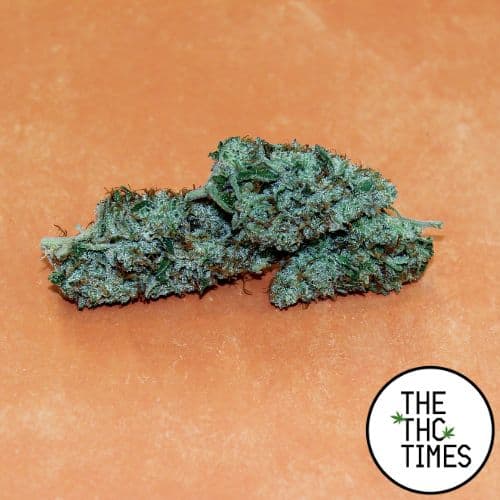 Durban Poison Sativa Strain