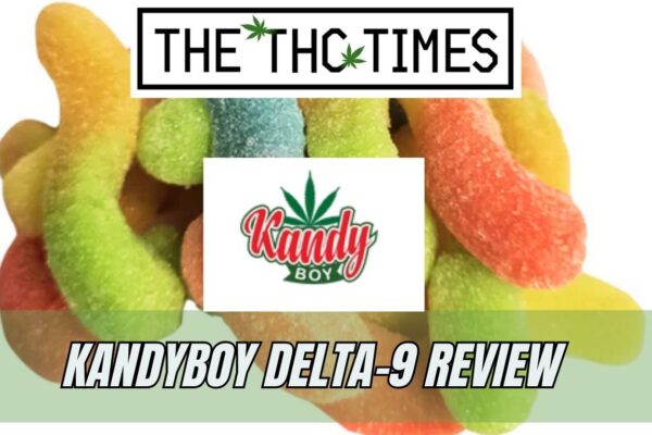 kandyboy delta-9 Review