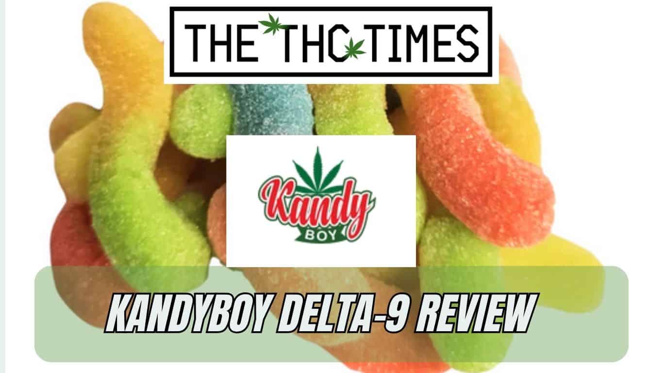 kandyboy delta-9 Review