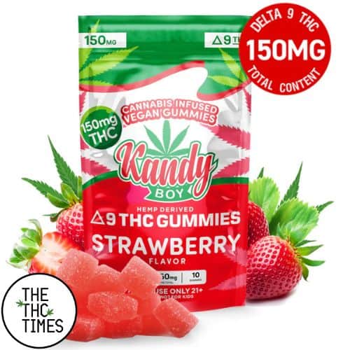 KandyBoy's Delta-9 Gummies Review