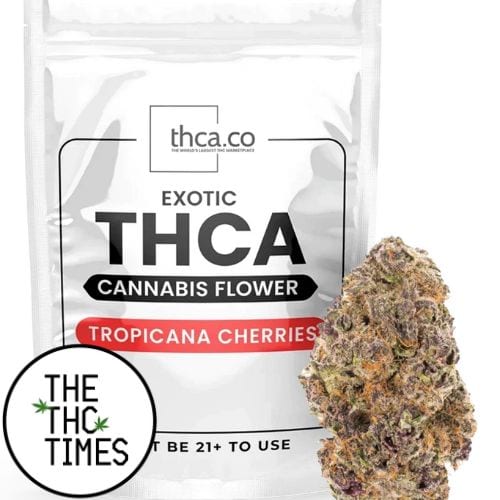 thca flower review