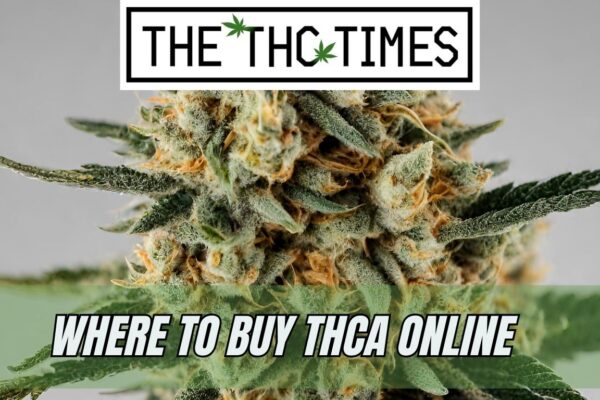 Best Sites To Buy THCA Flower Online Where To Buy THCA Online That Offers Discounts!