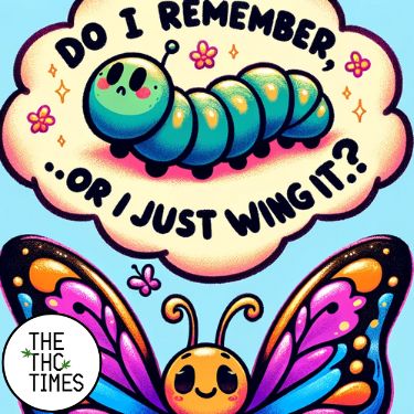 Do butterflies remember life as a caterpillar or do they just wing it?